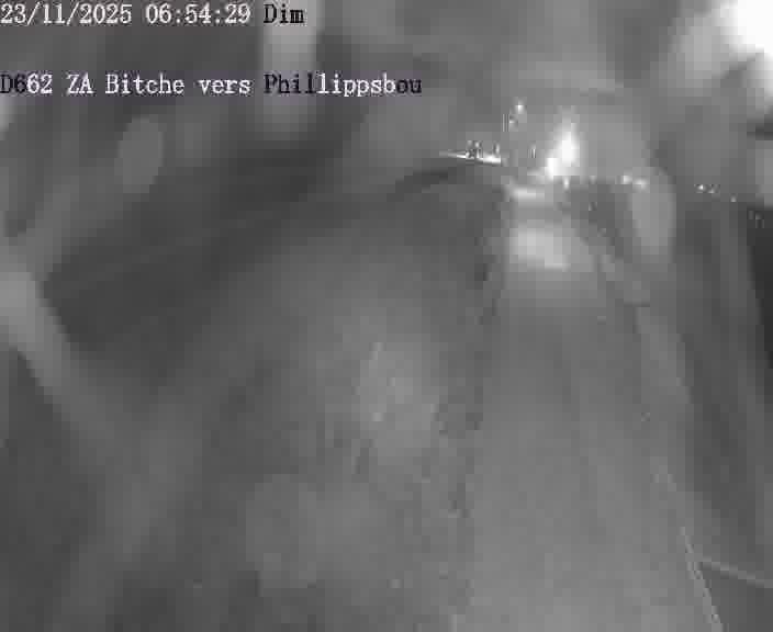 <h2>Caméra de trafic sur D662 (France) à Bitche, orientée vers Phillippsbourg, permettant d’évaluer fluidité, incidents et densité automobile.</h2>