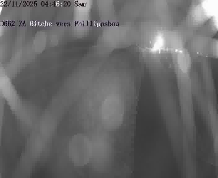 <h2>Caméra de trafic sur D662 (France) à Bitche, orientée vers Phillippsbourg, permettant d’évaluer fluidité, incidents et densité automobile.</h2>