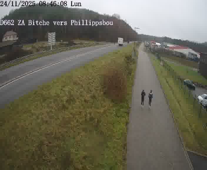 <h2>Caméra de trafic sur D662 (France) à Bitche, orientée vers Phillippsbourg, permettant d’évaluer fluidité, incidents et densité automobile.</h2>