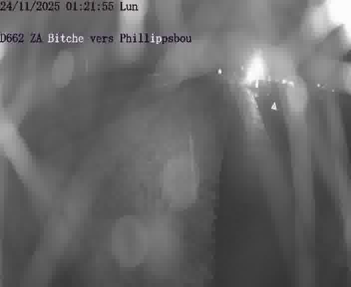 <h2>Caméra de trafic sur D662 (France) à Bitche, orientée vers Phillippsbourg, permettant d’évaluer fluidité, incidents et densité automobile.</h2>
