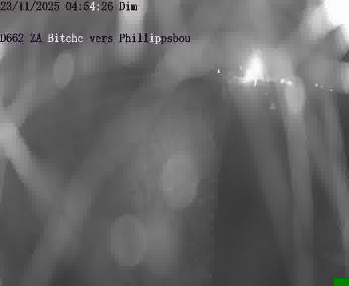 <h2>Caméra de trafic sur D662 (France) à Bitche, orientée vers Phillippsbourg, permettant d’évaluer fluidité, incidents et densité automobile.</h2>