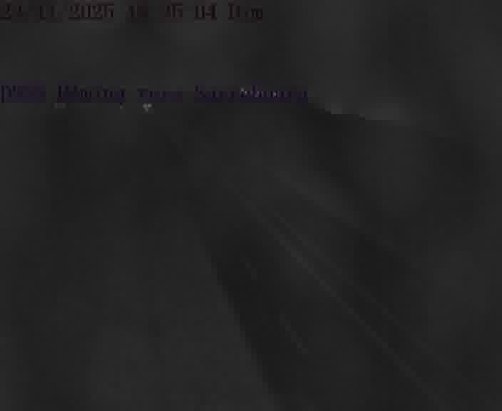 <h2>Caméra routière située sur D955 (France) à Heming, orientée vers Sarrebourg, surveillant en continu la circulation locale et régionale.</h2>