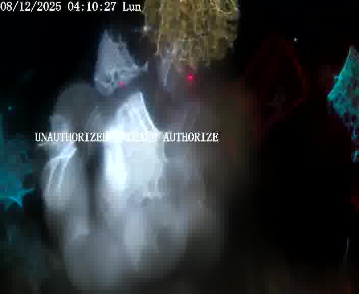 <h2>Webcam installée le long de D1 (France) à Ennery, pointée vers Metz, utile pour suivre précisément les conditions de trafic.</h2>