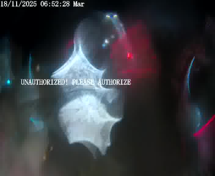 <h2>Webcam installée le long de D1 (France) à Ennery, pointée vers Metz, utile pour suivre précisément les conditions de trafic.</h2>