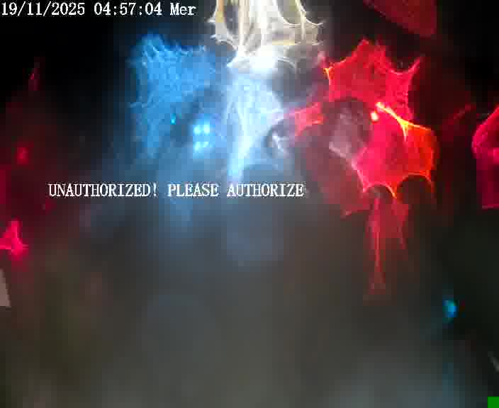 <h2>Webcam installée le long de D1 (France) à Ennery, pointée vers Metz, utile pour suivre précisément les conditions de trafic.</h2>