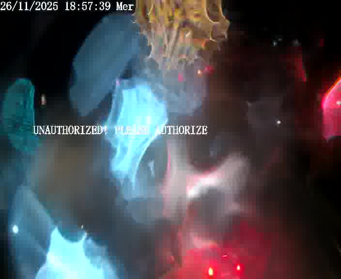 <h2>Webcam installée le long de D1 (France) à Ennery, pointée vers Metz, utile pour suivre précisément les conditions de trafic.</h2>