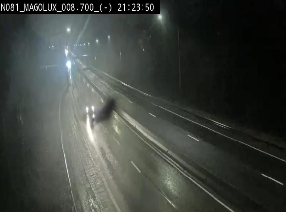 <h2>Webcam sur la N81 (E411) à hauteur de la jonction avec la N883. Vue orientée vers Arlon</h2>