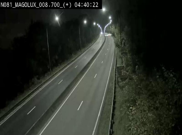 <h2>Webcam sur la N81 (E411) à hauteur de la jonction avec la N883. Vue orientée vers Longwy</h2>
