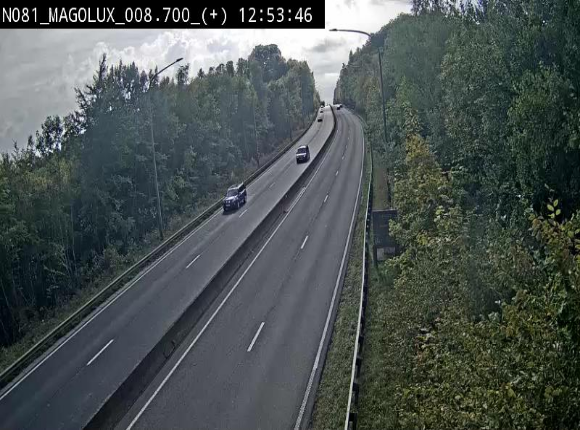 <h2>Webcam sur la N81 (E411) à hauteur de la jonction avec la N883. Vue orientée vers Longwy</h2>