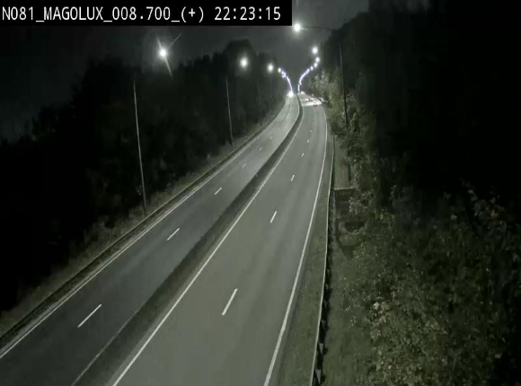 <h2>Webcam sur la N81 (E411) à hauteur de la jonction avec la N883. Vue orientée vers Longwy</h2>