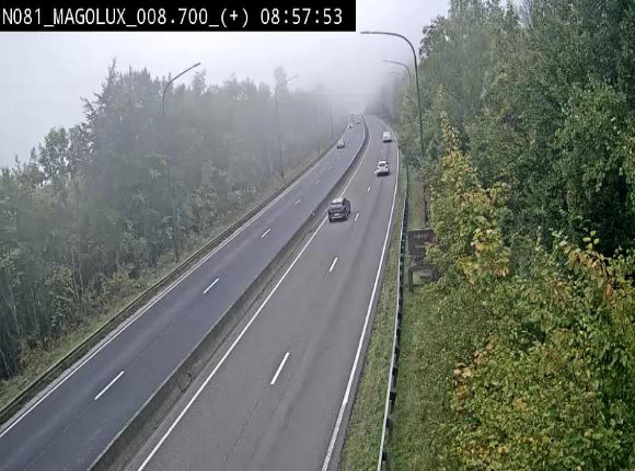 <h2>Webcam sur la N81 (E411) à hauteur de la jonction avec la N883. Vue orientée vers Longwy</h2>