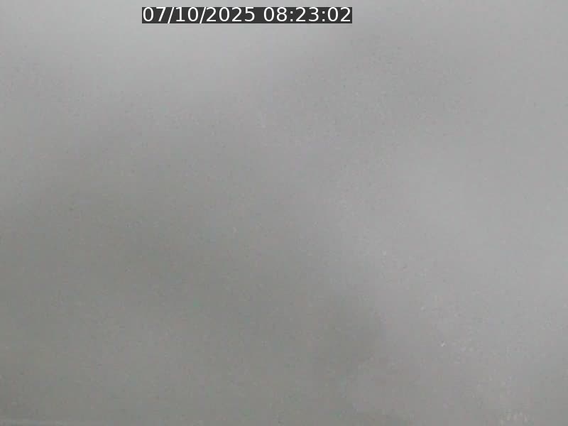 <h2>Webcam sur l'avenue John Fitzgerald Kennedy (N51) avec vue sur le Pont rouge (Pont Grande Duchesse Charlotte), l'arrêt Pfaffenthal et l'entrée du quartier Kirchberg</h2>