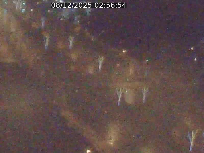 <h2>Webcam sur l'avenue John Fitzgerald Kennedy (N51) avec vue sur le Pont rouge (Pont Grande Duchesse Charlotte), l'arrêt Pfaffenthal et l'entrée du quartier Kirchberg</h2>