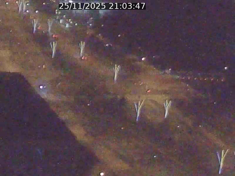 <h2>Webcam sur l'avenue John Fitzgerald Kennedy (N51) avec vue sur le Pont rouge (Pont Grande Duchesse Charlotte), l'arrêt Pfaffenthal et l'entrée du quartier Kirchberg</h2>