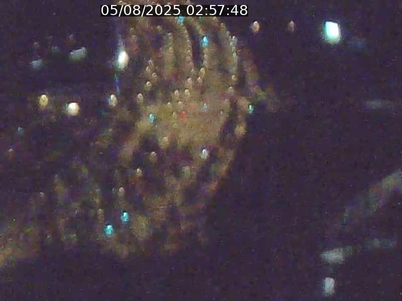 <h2>Webcam sur l'avenue John Fitzgerald Kennedy (N51) avec vue orientée vers le Findel</h2>