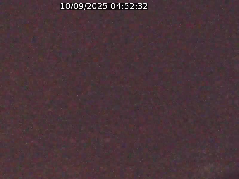 <h2>Webcam sur l'avenue John Fitzgerald Kennedy (N51) avec vue orientée vers le Findel</h2>