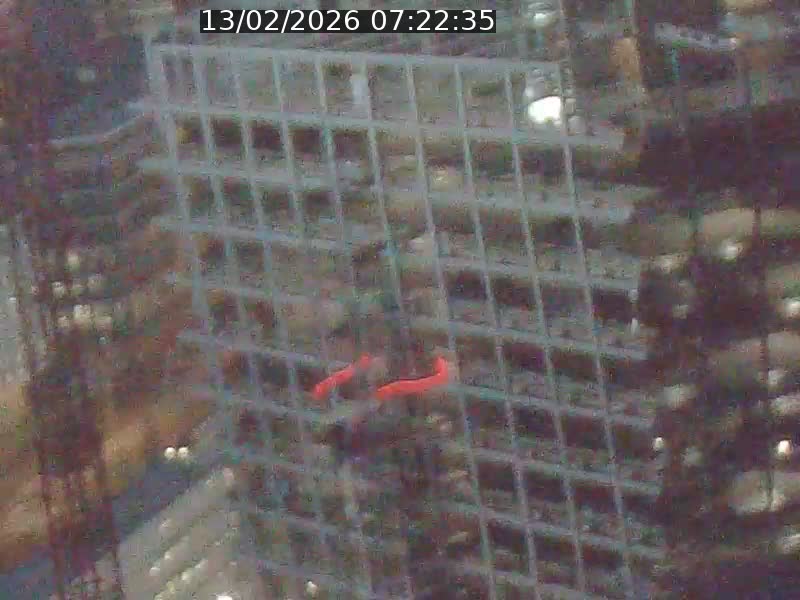 <h2>Webcam sur l'avenue John Fitzgerald Kennedy (N51) avec vue orientée vers le Findel</h2>