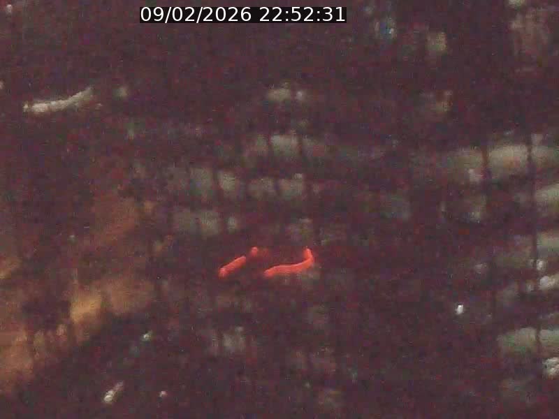 <h2>Webcam sur l'avenue John Fitzgerald Kennedy (N51) avec vue orientée vers le Findel</h2>