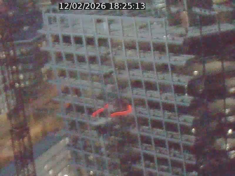 <h2>Webcam sur l'avenue John Fitzgerald Kennedy (N51) avec vue orientée vers le Findel</h2>