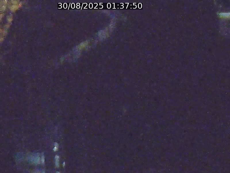 <h2>Webcam sur l'avenue John Fitzgerald Kennedy (N51) avec vue orientée vers le Findel</h2>