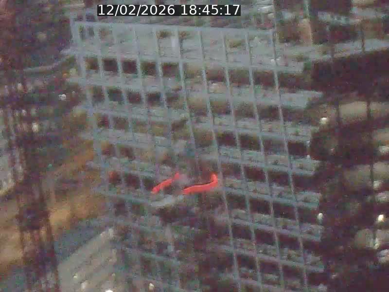 <h2>Webcam sur l'avenue John Fitzgerald Kennedy (N51) avec vue orientée vers le Findel</h2>