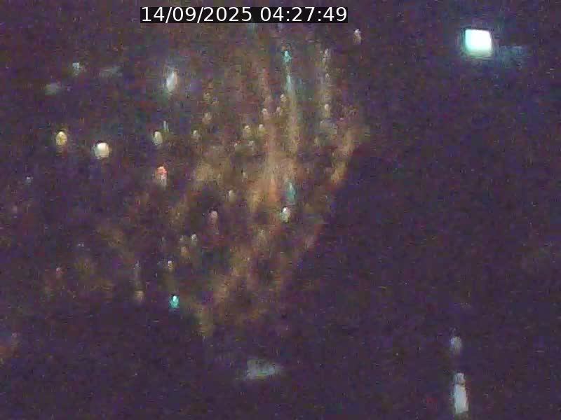 <h2>Webcam sur l'avenue John Fitzgerald Kennedy (N51) avec vue orientée vers le Findel</h2>