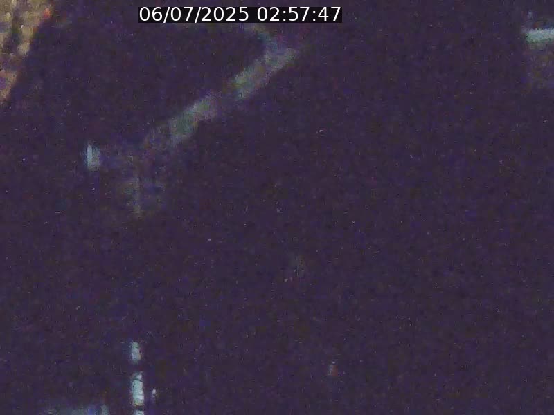 Webcam sur l'avenue John Fitzgerald Kennedy (N51) avec vue orientée vers le Findel