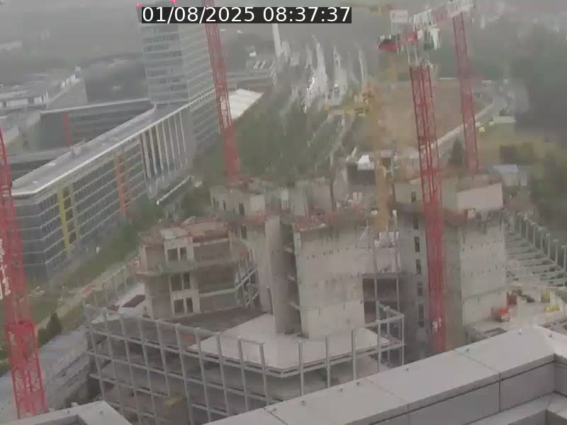 Webcam sur l'avenue John Fitzgerald Kennedy (N51) avec vue orientée vers le Findel