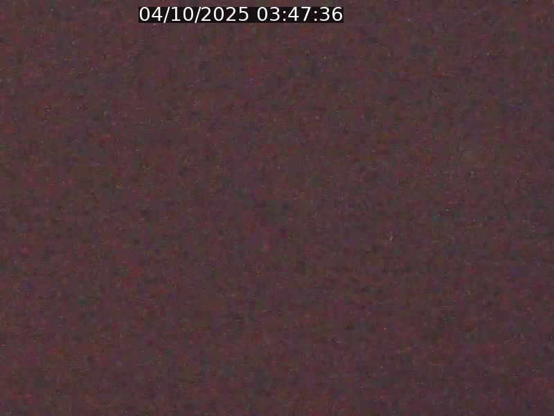 Webcam sur l'avenue John Fitzgerald Kennedy (N51) avec vue orientée vers le Findel