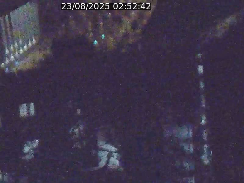 <h2>Webcam sur l'avenue John Fitzgerald Kennedy (N51) avec vue orientée vers le Findel</h2>