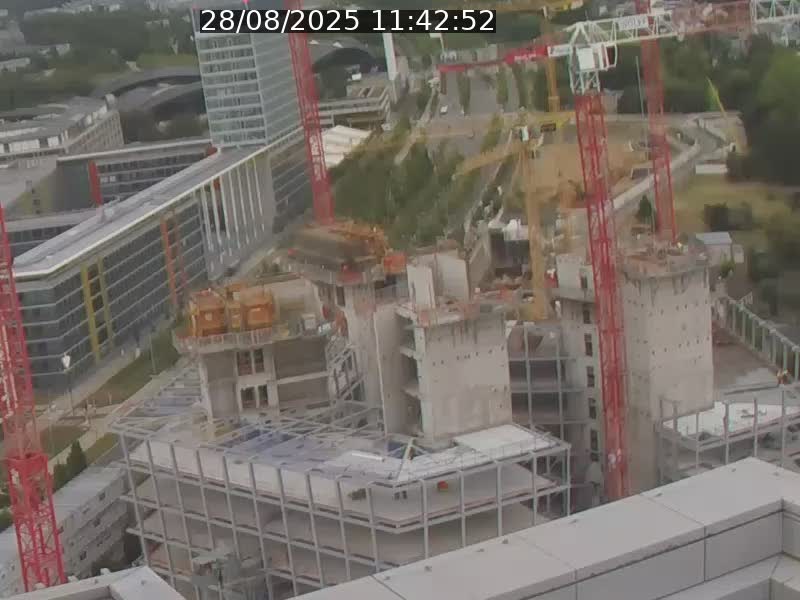 <h2>Webcam sur l'avenue John Fitzgerald Kennedy (N51) avec vue orientée vers le Findel</h2>