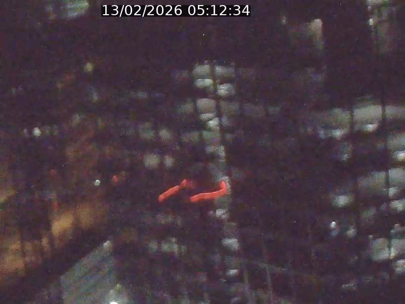 <h2>Webcam sur l'avenue John Fitzgerald Kennedy (N51) avec vue orientée vers le Findel</h2>