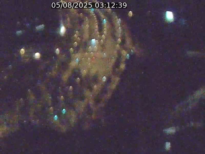 <h2>Webcam sur l'avenue John Fitzgerald Kennedy (N51) avec vue orientée vers le Findel</h2>