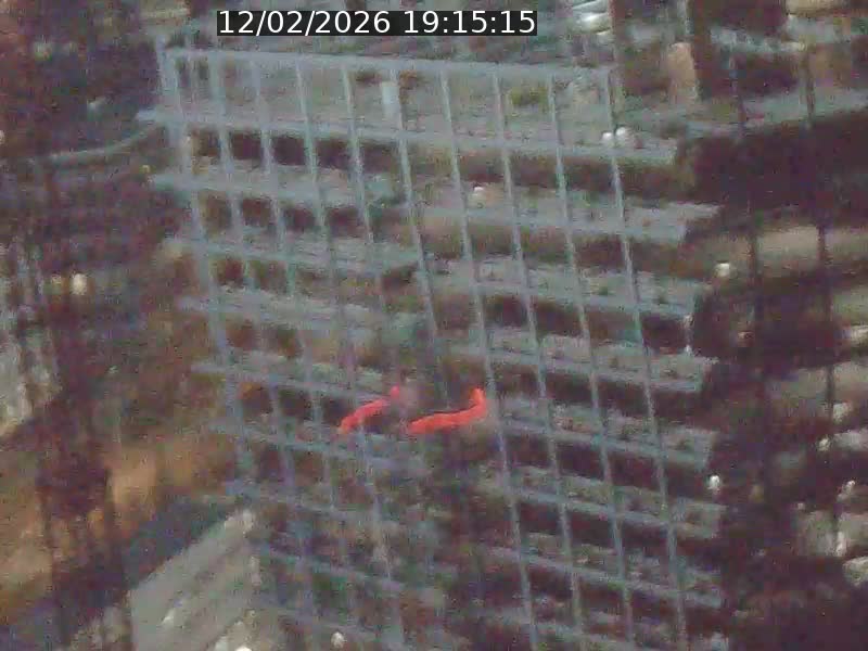 <h2>Webcam sur l'avenue John Fitzgerald Kennedy (N51) avec vue orientée vers le Findel</h2>