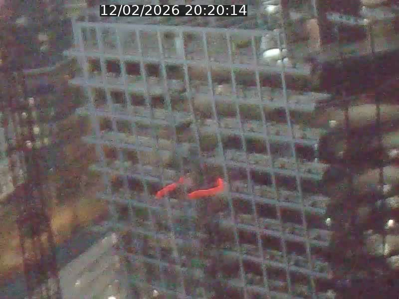 <h2>Webcam sur l'avenue John Fitzgerald Kennedy (N51) avec vue orientée vers le Findel</h2>