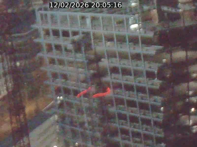 <h2>Webcam sur l'avenue John Fitzgerald Kennedy (N51) avec vue orientée vers le Findel</h2>