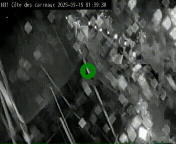 <h2>Webcam en haut de la Côte des Carreaux sur la N31 à Avesnes-en-Bray. Vue orientée vers Rouen</h2>