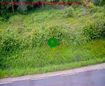 [title]