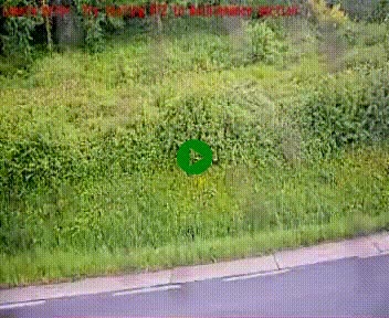[title]