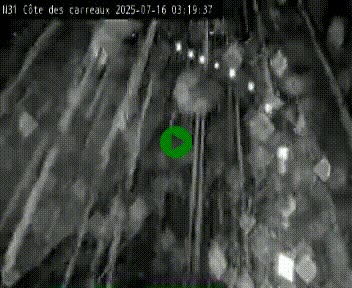 <h2>Webcam en haut de la Côte des Carreaux sur la N31 à Avesnes-en-Bray. Vue orientée vers Rouen</h2>