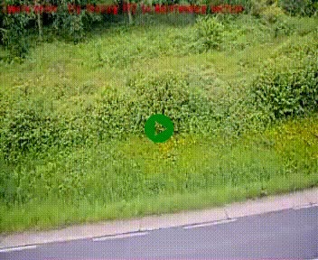 [title]