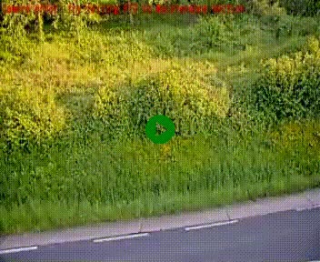 [title]