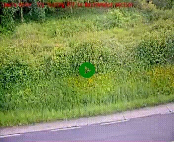 [title]