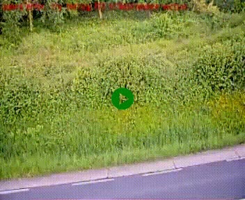 [title]
