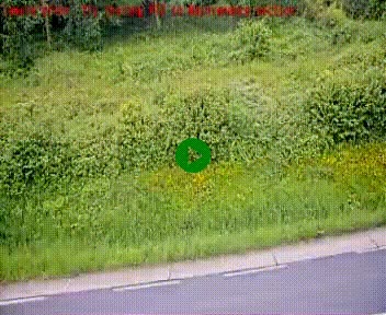 [title]