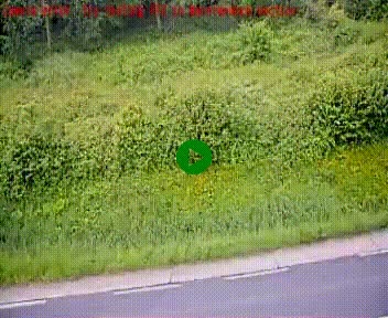 [title]
