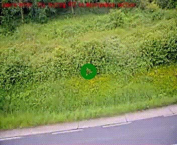 [title]