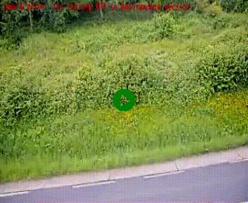 [title]