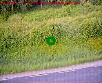 [title]