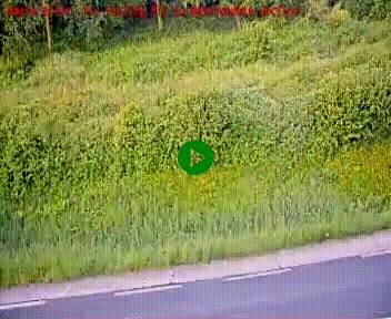 [title]